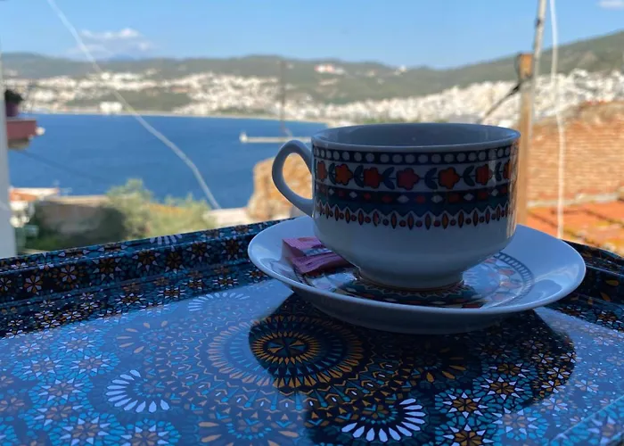 Mihail - Old Town Of 4*